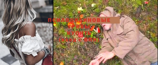 кокс Вяземский